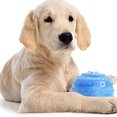 thumbnail image 3 of IKemiter Pet Chew Toy Teether Cooling Toy without Tacks Safe Resistant Bite Butterfly Type for Dog Puppy, 3 of 7