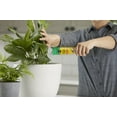 thumbnail image 4 of Miracle-Gro Pour & Feed Singles Liquid RTU Plant Food - Gravity Feed, 4 of 9