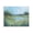 Serene Meadow Pond Landscape, variant on Stupell Industries Mottled Pastel Field Impression Black Framed Giclee Art, design by Creative Studio