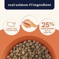 thumbnail image 2 of All Life Stages Salmon & Ancient Grains Recipe High Protein Dry Dog Food 27 lbs., 2 of 2
