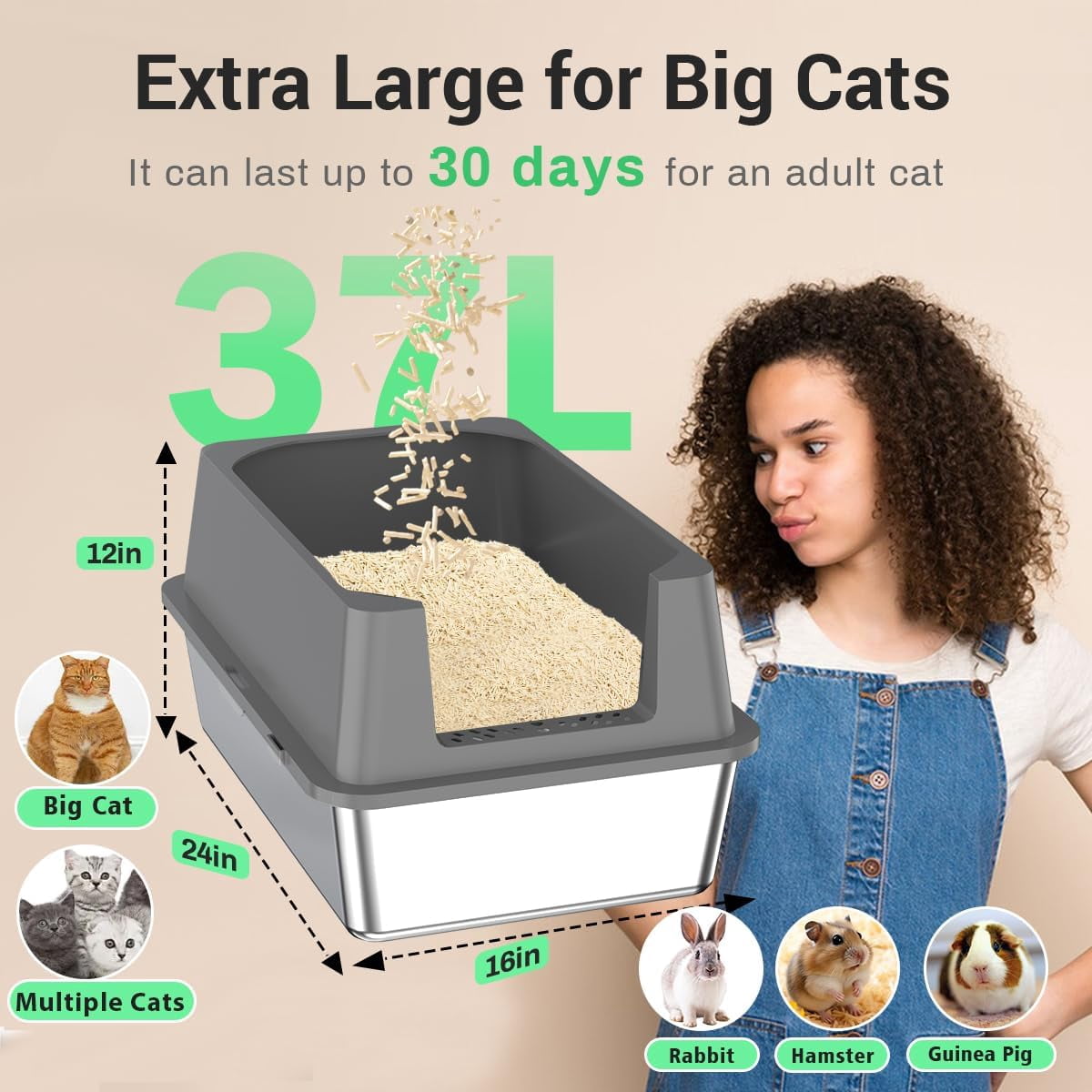 Extra Large Stainless Steel Cat Litter Box - 23.5" x 15.5" x 12" - High Sided Walls for Big Cats, Anti Urine Leakage, Odorless and Easy Cleaning - Foot Pad, Mat, Scoops & Deodorizer - XXL Litter Box
