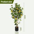 thumbnail image 3 of 2-Pack 4FT Artificial Lemon Plant That Look Real, Faux Lemons Citrus Plants with Yellow Fake Lemons Fruits in Black Pot, Indoor Artificial Plants for Home Office Kitchen Decor Party Wedding Christmas, 3 of 8