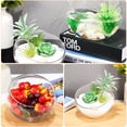 thumbnail image 3 of 2 Pcs Glass Planters Glass Fish Bowl Glass Flower Pots Succulent Planter Pot Round Flower Vase, 3 of 9