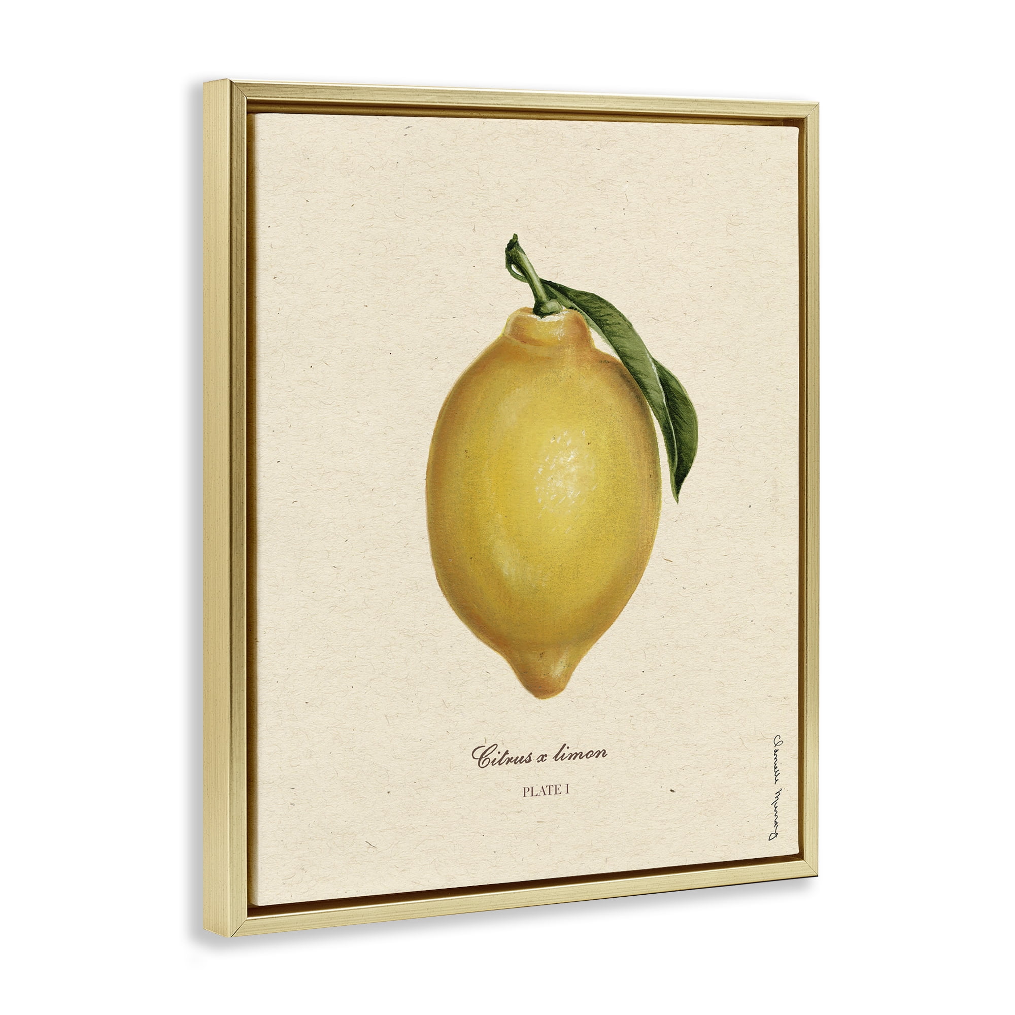 Stupell Industries Lemon Fruit Portrait Gold Framed Floater Canvas Wall Art, design by Danielle Murray