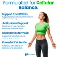 thumbnail image 5 of HealthFare NAC N-Acetyl L-Cysteine Supplement | 1300mg High Potency | 240 Vegan Capsules | Respiratory & Antioxidant Support, Cellular Energy & Liver Support | Non-GMO, Gluten-Free, Made in USA, 5 of 6