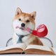 thumbnail image 5 of Juguetes chirriantes para perros grandes Pipetoy Giggles Juguete para perros Giggle Puff Stick Toys con un juego de juguetes de peluche interactivos para perros pequeños, medianos y grandes, 5 of 8