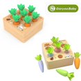 thumbnail image 2 of GoryeoBaby 0.5 Jouet Radis Éducatif pour Enfants Haute Qualité, 2 of 5