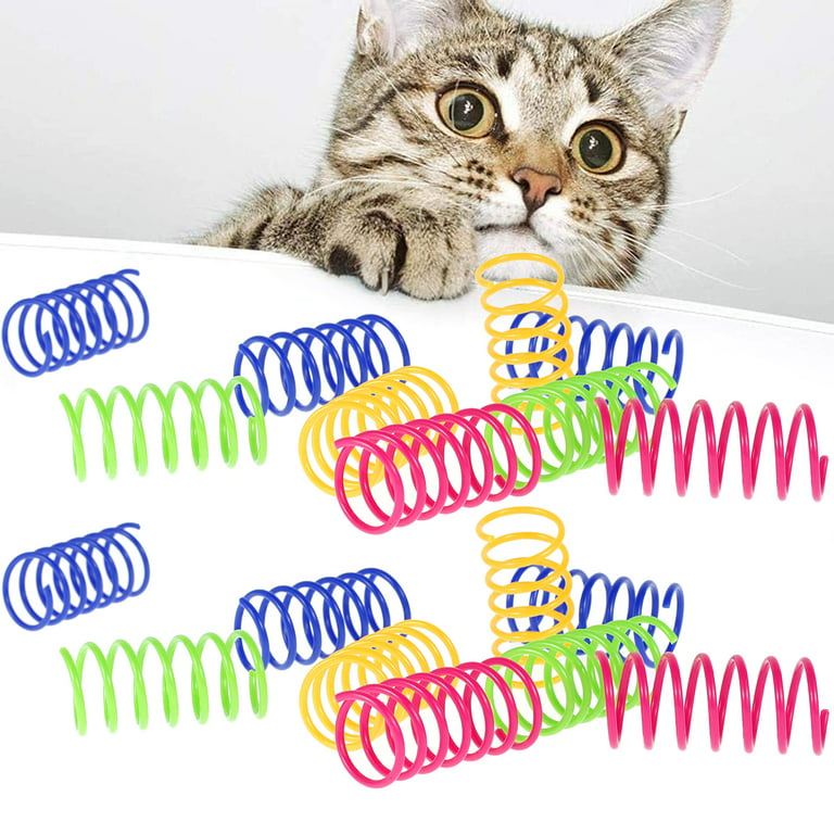 AGYM Colorful Plastic Spring Cat Toys, 30 Pack Spiral Springs for Indoor  Cats to Swat, Bite, Hunt, Interactive Toys for Cats and Kittens