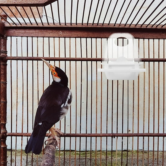 HEMOTON 2 Pcs Feeder Splash-proof Bird Food Box Bird Feeding Equipment 10X6X11CM White