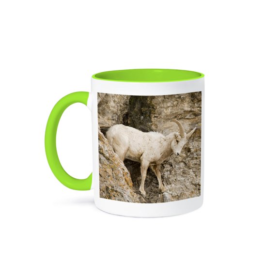 3dRose, Wyoming, Jackson Hole, Big horn sheep - US51 DSR0001 - Daniel Schreiber, 11oz Two-Tone Green Mug