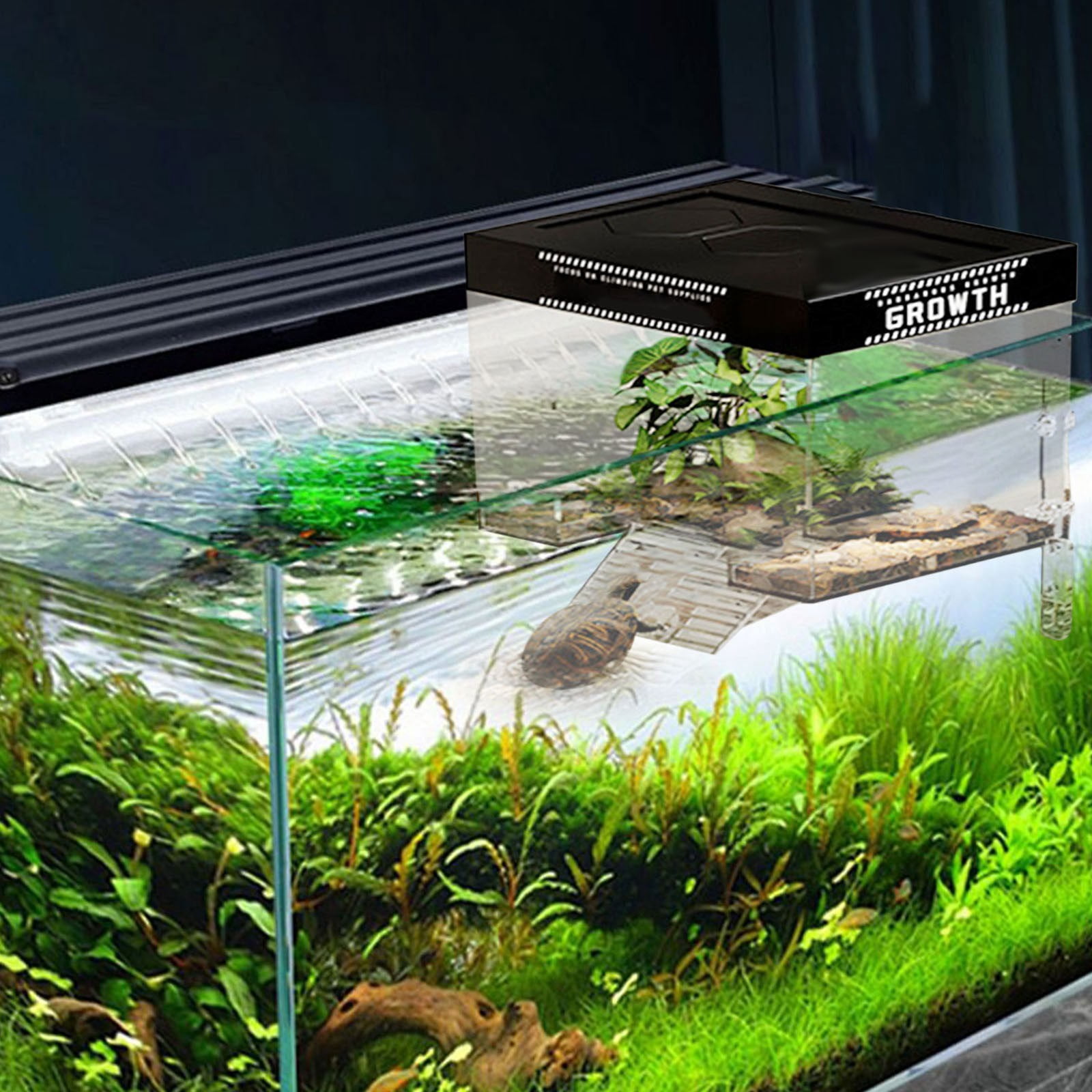 Large Acrylic Turtle Terrarium Platform for Sunbathing – Durable Non-Slip Ramp Accessory for Reptiles and Amphibians – Easy Installation and 360° Observation