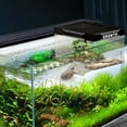 thumbnail image 4 of Large Glass Turtle Tank 7.9x5.5x5.5 Inch Acrylic Terrarium with Sunbathing Platform for Reptiles Amphibians Aquatic Pets, 4 of 8