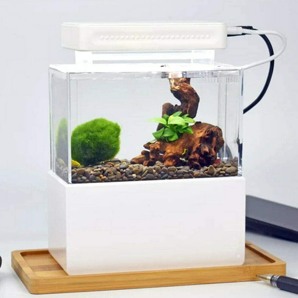 vergelijking Onmiddellijk Bakken TFCFL Mini Fish Tank Aquarium Kit Mini Desktop Aquarium with Water  Filtration LED Lamp(White) - Walmart.com