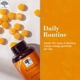 thumbnail image 4 of NEW NORDIC Turmeric Curcumin Gummies - 300 mg Joint Health Sugar Free Supplement - 60 Count, 4 of 7