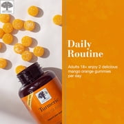 NEW NORDIC Turmeric Curcumin Gummies - 300 mg Joint Health Sugar Free Supplement - 60 Count