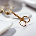 thumbnail image 4 of Scissors, Professional Stainless Steel Curved Cuticle Sharp Dead Skin Scissors Pointed for Trimming Eyebrows, Nose Hair, Manicure, Finger & Toe Care, Titanium Gold, 4 of 6