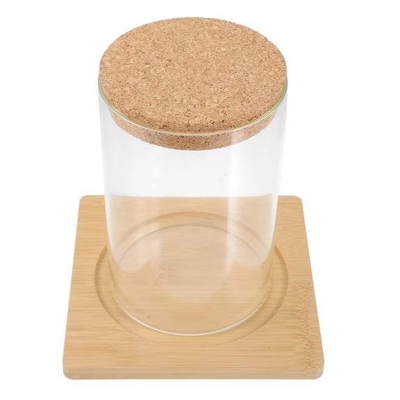 Micro Landscape Ecological Bottle Pots for Plants Terrarium Glass Containers Jar Small Terrariums Stand Office