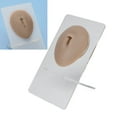 thumbnail image 1 of Soft Silicone Belly Button Model for Piercing Display, Jewelry Showcase, Reusable, Easy to Operate, with Support Stand, 1 of 7