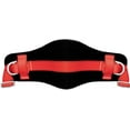 thumbnail image 4 of Safety Belt with Hip Pad - 2 D-Rings Stranded Size – Climbing Protection Belt for Body Positioning – Portable Personal Protective Equipment - Lanyard Included, 4 of 8