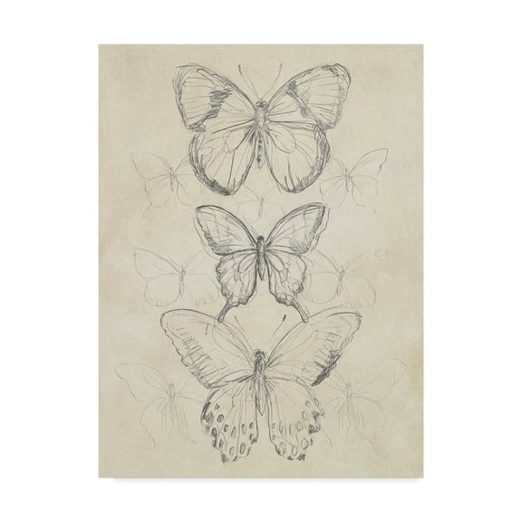Vintage Butterfly Sketch I' Canvas Art by June Erica Vess