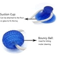thumbnail image 3 of Jouets à mâcher pour Chiens avec Ventouse, Nouveau Jouet de Cordes pour Chien Multifonctionnel pour molaire, Nettoyage des Dents, Morsure - Caoutchouc Naturel, 3 of 5