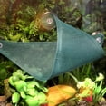 thumbnail image 3 of Triangular Hanging Net Reptile Hammock Lizard Beared Dragon Hammock Lounger Green M 38*18cm, 3 of 8