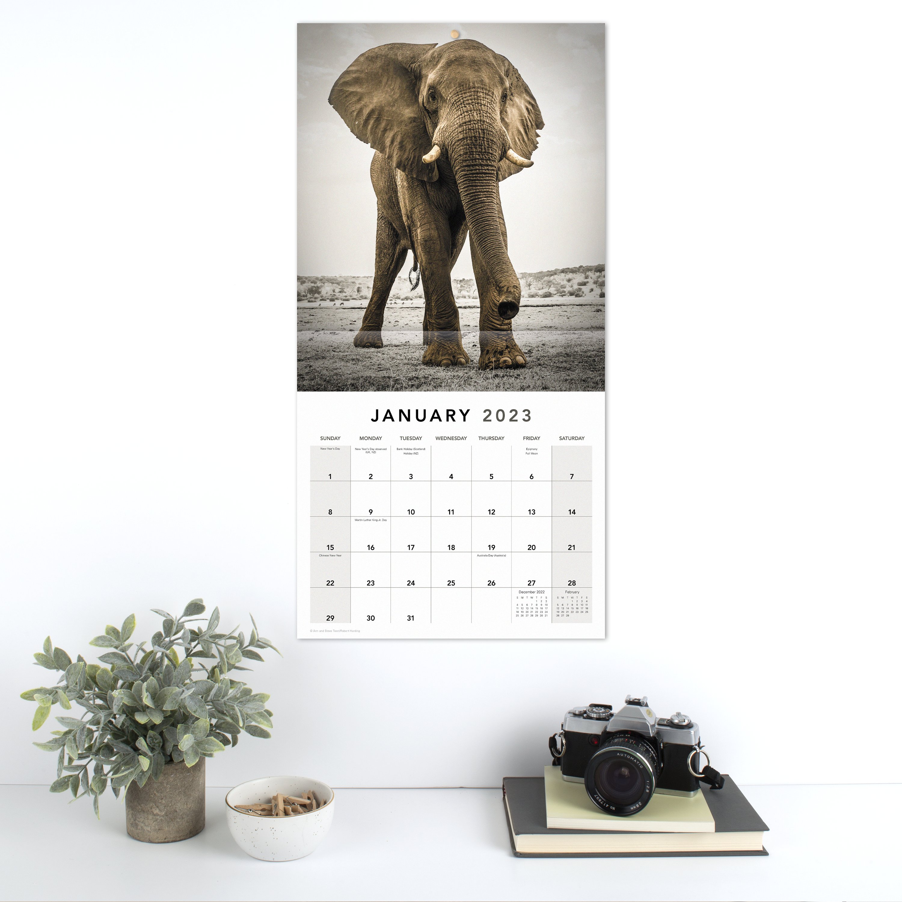 2023 Wall Calendar, Extraordinary Earth, 12" x 12" by Mead (WMET1810-23)