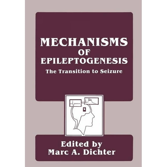 Mechanisms of Epileptogenesis: The Transition to Seizure, (Paperback)