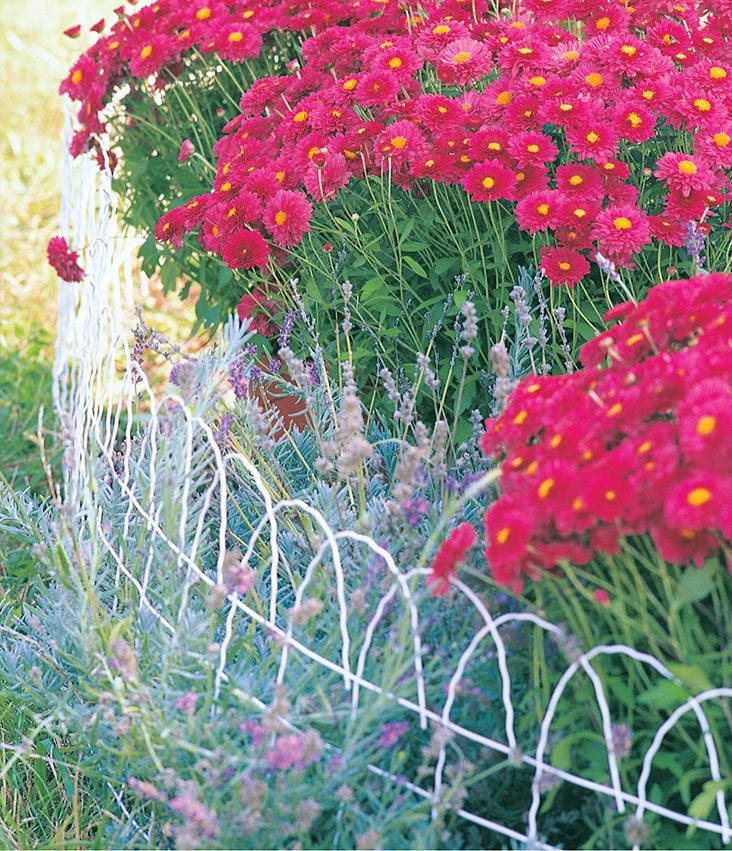 GARDEN BORDER FENCE, Border