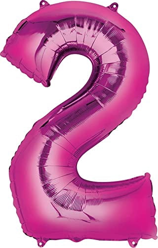 Skye and Everest 2nd Birthday Party Supplies Girl Paw Pups on Patrol Balloon Bouquet Decorations 12ct