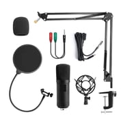 Microphone Condenser Professional Recording Studio Interface,Sound Card Podcasting Microfone