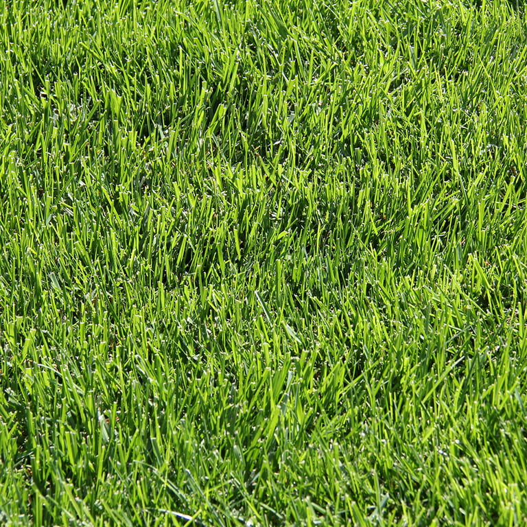 6MM DARK GREEN LOOSE STATIC GRASS 50g/1.7 oz.