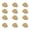 Beige, variant on witspace Electric LED Set of 12 Plastic Flameless & Smokeless LED Diwali Light Warm Ambient Tea Ligth Candles for New Year,Festival,Christmas,Home Decoration
