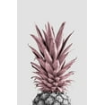 thumbnail image 2 of 1x Studio III 13x18 White Modern Wood Framed Museum Art Print Titled - Pineapple Pink 04, 2 of 4