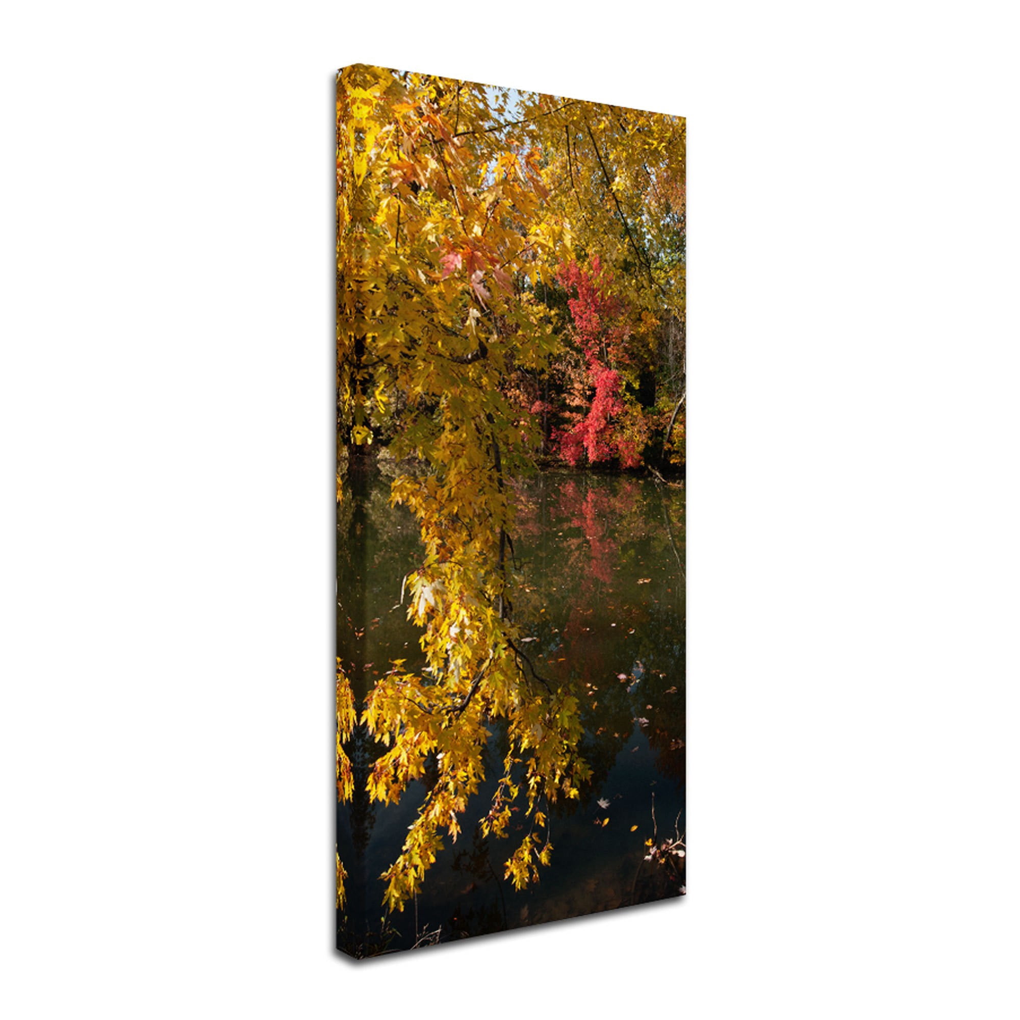 Trademark Fine Art "Autumn Branches" Canvas Art by Kurt Shaffer