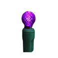 thumbnail image 1 of Reinders 34612R-B Purple G12 Raspberry LED Lights, 1 of 1