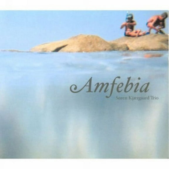 Soren Kjaergaard - Amfebia - Music & Performance - CD