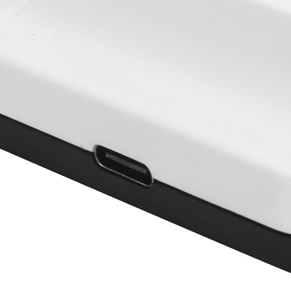Controller Charger, Dual Gamepad Handle Charger Safe Charging Type C Port Plug and Play Matte Appearance for Outdoor for Household