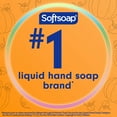 thumbnail image 3 of Softsoap Limited Edition Spooky Pumpkin Liquid Hand Soap, 7.5 oz Bottle, 3 of 13