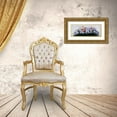 thumbnail image 3 of Motz, Peter 14x8 Gold Ornate Wood Framed with Double Matting Museum Art Print Titled - Flowers bouqet, 3 of 4