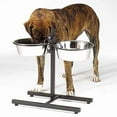 thumbnail image 1 of Gamelles pour Chien Surélevées et Réglables Qui Rendent l'Heure du Repas Plus Confortable (96 oz), 1 of 1