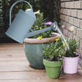 thumbnail image 4 of Watering Pot ,Flower Watering, Large Capacity Detachable Sprinkler Head with Handles for Indoor Blue, 4 of 8