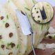 thumbnail image 4 of HengKaiSing - Cuchillo para piña de acero inoxidable, pelador de ojos, raspador de piña, pelador, utensilio de cocina, herramienta para frutas, 2 uds., 4 of 5