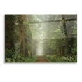 thumbnail image 1 of Epic Art 'Misty Spring Road' by Martin Podt, Acrylic Glass Wall Art, 16"x12", 1 of 3