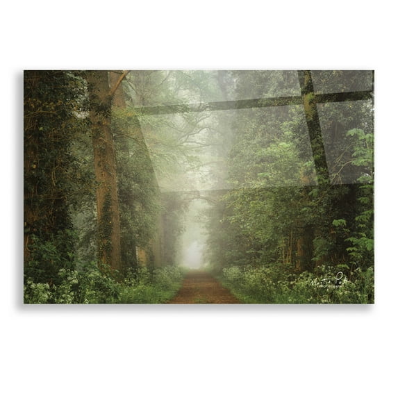 Epic Art 'Misty Spring Road' by Martin Podt, Acrylic Glass Wall Art, 16"x12"