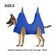 thumbnail image 2 of Falda de gasa de malla con eslinga, ropa para perros de primavera y verano, ropa para gatos, suministros para mascotas, falda colgante a rayas 2597, 2 of 6