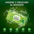 thumbnail image 4 of Compa Wipes Toallas Húmedas Desechables, 3 Paquetes  , (El Nuevo Papel Higiénico Húmedo), Apto para Desechar en el Inodoro, Hipoalergénicas, Fragancia a Aloe Vera, Hechas con Fibras Naturales, Suaves., 4 of 8