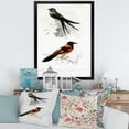 thumbnail image 3 of Designart 'Ancient Bird II' Traditional Framed Art Print, 3 of 4