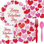 Way to Celebrate Valentine Hearts Pink and Red Party Supplies Kit 132 Count
