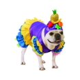 thumbnail image 1 of Pet Brazilian Bombshell Costume Small, 1 of 1